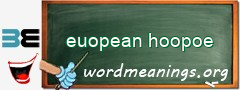 WordMeaning blackboard for euopean hoopoe